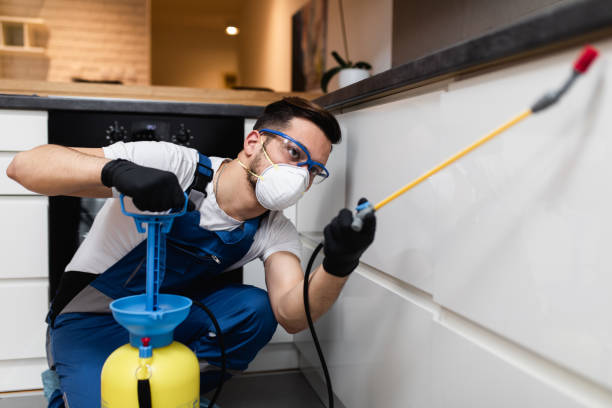 Flea Control Services in Granite Hills, CA