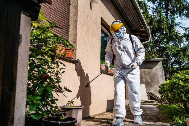 Best Cockroach Control Services  in Granite Hills, CA