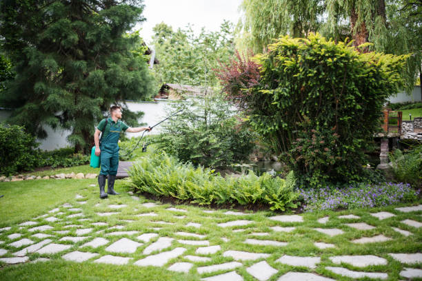 Best Pest Control Near Me  in Granite Hills, CA