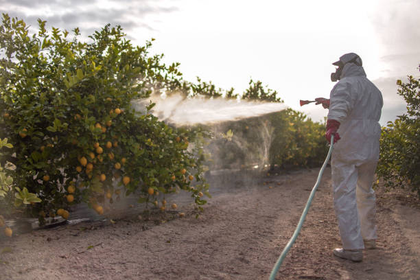 Best Commercial Pest Control Services  in Granite Hills, CA