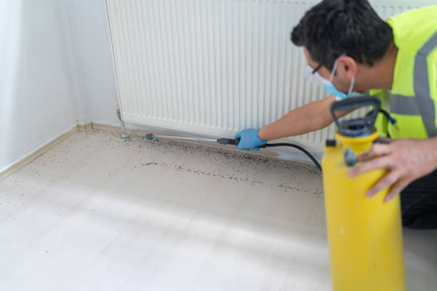 Best Affordable Pest Control Services  in Granite Hills, CA