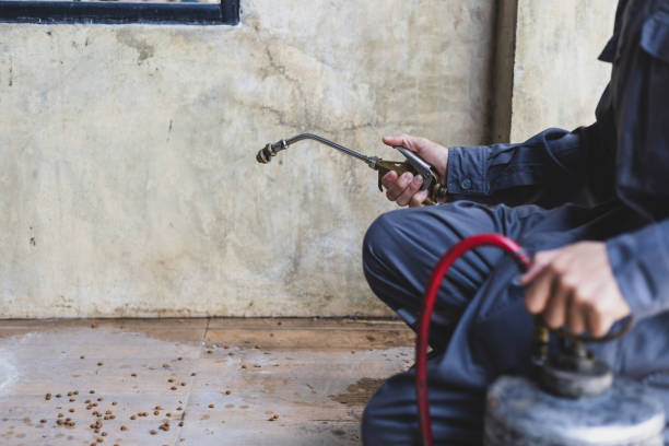 Best Emergency Pest Control  in Granite Hills, CA