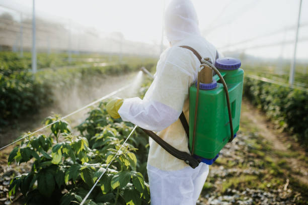 Best Best Pest Control Companies  in Granite Hills, CA